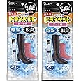 【まとめ買い】 備長炭ドライペット 除湿剤 ブーツ用 (42g×2) 1足分×2個