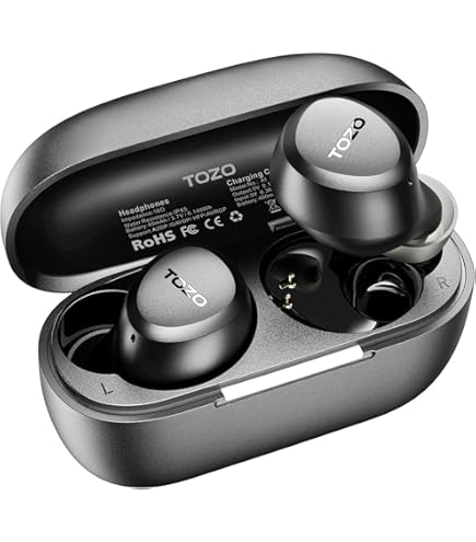 Amazon.co.jp: B&O Play ワイヤレスイヤホン Beoplay E6 : 家電＆カメラ