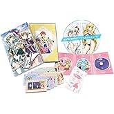 魔法少女リリカルなのはViVid Blu-ray BOX SIDE:Einhard(封入:「抱き枕カバー」付)(完全生産限定版)