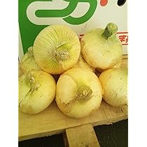たまねぎ ヘルシーカンパニー ケルセチン豊富な国産たまねぎ皮茶 2g×35包
