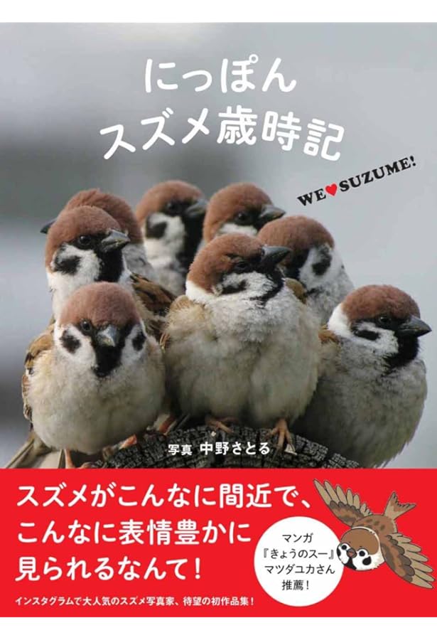 スズメのくらし (たくさんのふしぎ傑作集) | 平野 伸明 |本 | 通販