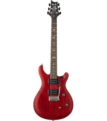 Amazon.co.jp: PRS SE Custom 24 限定 レイクブルー ギグバッグ付き