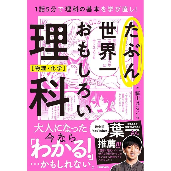 山田さんちの算数パーフェクト 数学的センスを身につけろ! | 神内