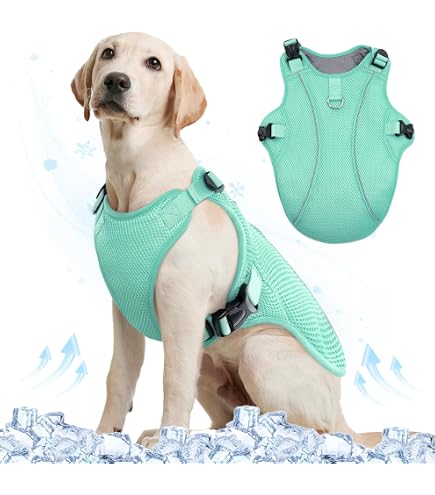 Amazon | GLULU AIR COOL WAN 犬用空調ウェア、ペット用冷却服、熱中症
