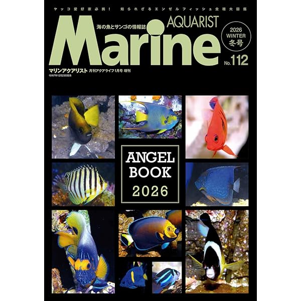 【超レア！】 コーラルフリークス 1～41号 コンプリートセット 超レア！】 コーラルフリークス 1～41号 コンプリートセット 超レア