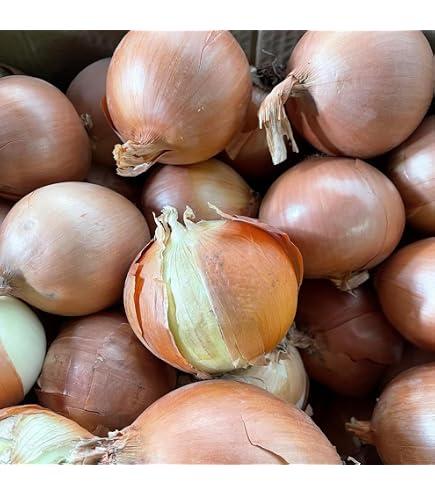 Amazon.co.jp: フランスの野菜通年 エシャロットフランス産約1Kg