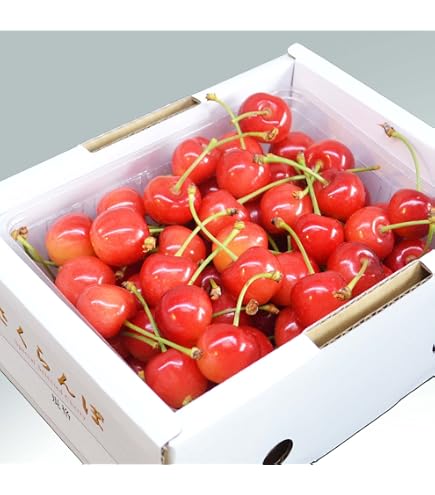 Amazon.co.jp: 父の日 さくらんぼ 佐藤錦 紅秀峰 秀品 山形県産 700g 