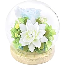 スフィアガラスドーム プリザーブドフラワー ガラスドームアレンジメント セット Amazon.co.jp: 東海製蝋 プリザーブドフラワー ガラスドーム