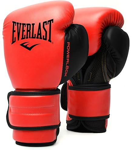 【試着のみ、ケース付き】Everlast Powerlock2 12oz Everlast Powerlock2 Pro Training Gloves | ATL Fight Shop