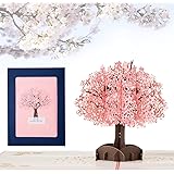 Kesote メッセージカード 桜 立体カード ポップアップカード バレンタイン 卒業 さくら おしゃれ 封筒付き