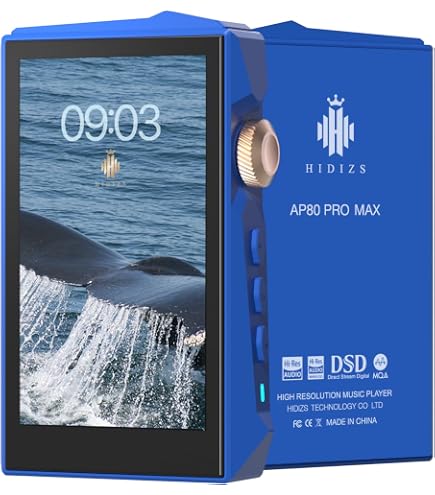 ポータブルプレーヤー Astell&Kern AK240 ブルーの「AK240」、Blue