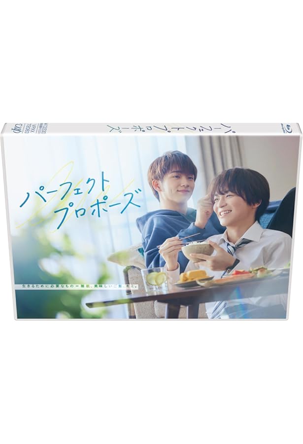 パーフェクトプロポーズ 公式ビジュアルブック 金子隼也、野村康太 DVD