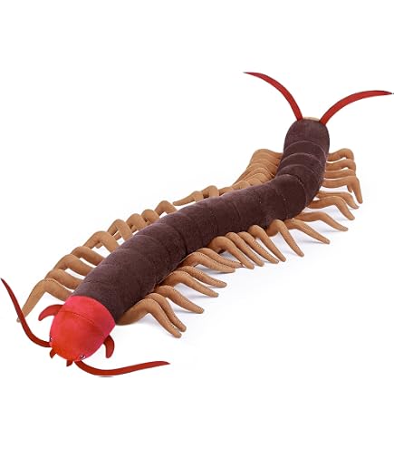 Amazon.co.jp: MAIBED グラントシロカブト ぬいぐるみ リアル 23cm