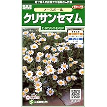 世界に夢をまく「サカタのタネ」 Amazon | サカタのタネ 実咲花5251 千日紅 ちなつミックス