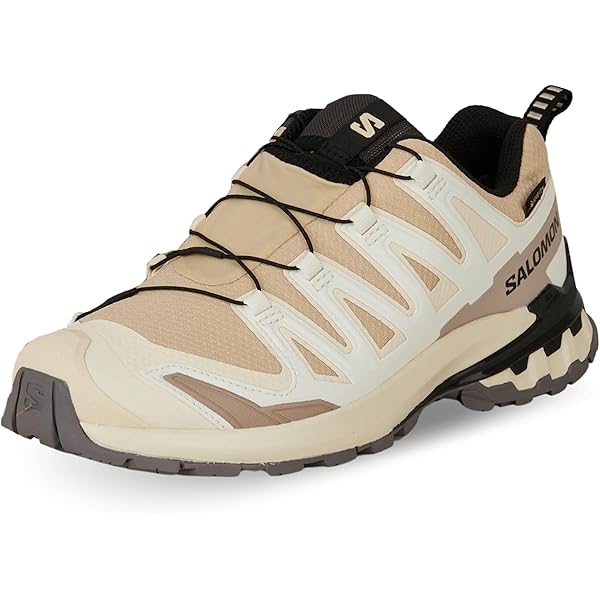 【美品】SALOMON XA PRO 3D V9 W L47272700 L47270100] Salomon Men's Xa Pro 3D V9 GTX Black Phantom Pewter