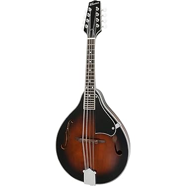Amazon.co.jp Best Sellers: The most popular items in Mandolins