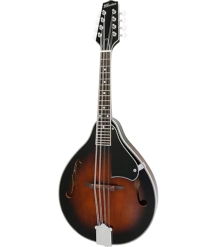 Amazon | 【ハードケース + DVD付】Aria/アリア AM-20 フラット