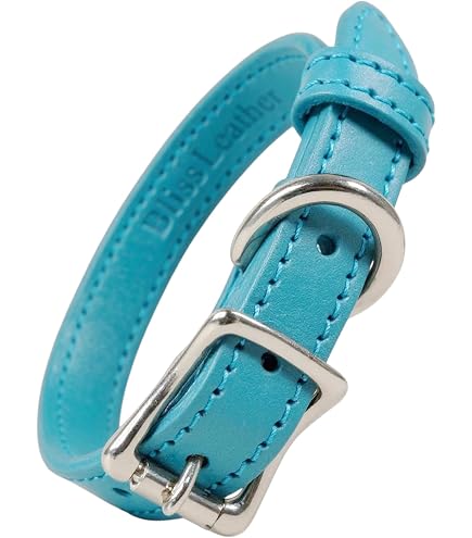 Amazon | ドイツ製 高級本革首輪 Das Lederband レダーバンド