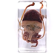 樹脂封入シロアリ女王卵巣標本 70mm★本当に珍しい標本★ 樹脂封入シロアリ女王卵巣標本 70mm☆本当に珍しい標本☆