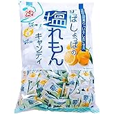 松屋製菓 塩れもんキャンディ 800g