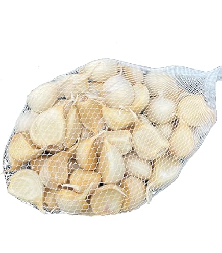 Amazon.co.jp: 青森 にんにく 訳あり 1kg 業務用 C品 Lサイズ 根土付き