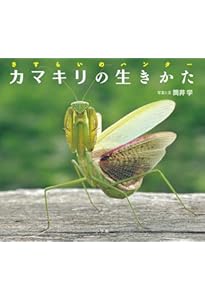 カマキリ (しゃしん絵本小さな生きものの春夏秋冬) | 新開 孝, 池田