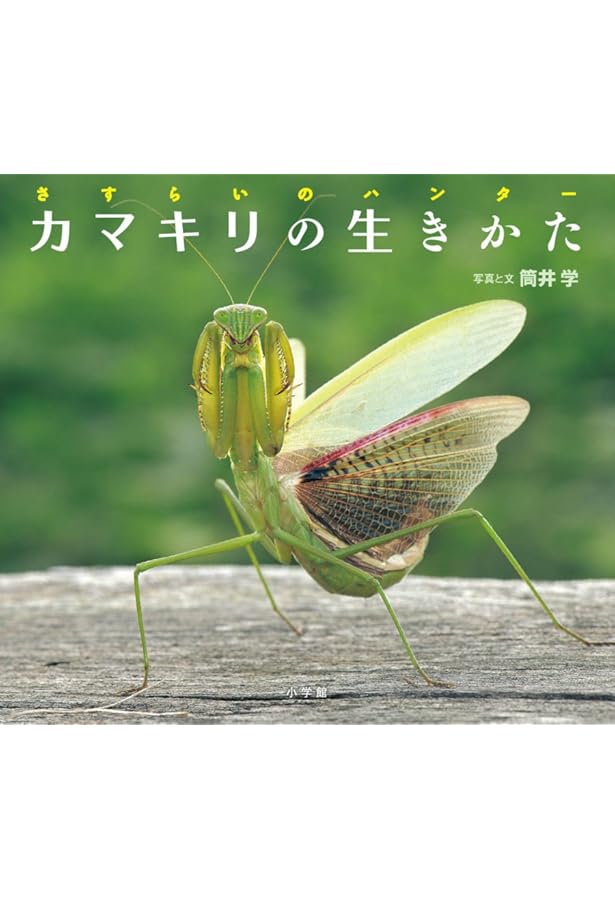 Amazon.co.jp: カマキリ (しゃしん絵本小さな生きものの春夏秋冬
