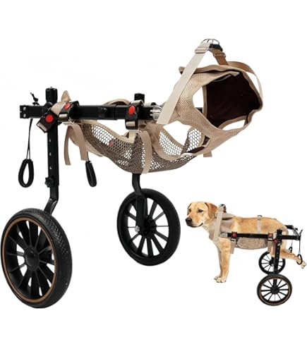Amazon.co.jp: Zifizo 犬用車いす 小型大型犬用車椅子 4輪 フル