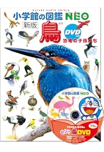 Amazon.co.jp: 鳥 新訂版 (講談社の動く図鑑MOVE) : 講談社, 川上 和人