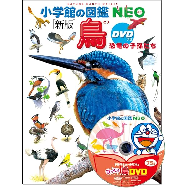 DVD付 新版 昆虫 (小学館の図鑑 NEO) | 小池 啓一, 小野 展嗣, 町田
