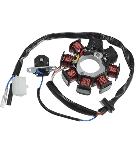 Amazon | PHOENIX ジェネレーター ZONGSHEN 全波 直流 110cc 125cc