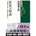炭素文明論：「元素の王者」が歴史を動かす (新潮選書)