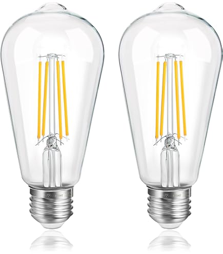 東京メタル工業 LED電球LDST7WSTC-T2 東京メタル工業 LED電球LDST7WSTC-T2 LEDエジソンランプ LDST7WSTC-T2