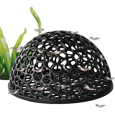 Amazon.co.jp 最新リリース: 水槽 の新着ランキングです。