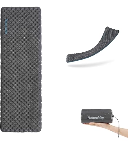 Amazon.co.jp: ビッグアグネス BIG AGNES エアマット 2020NEW イン