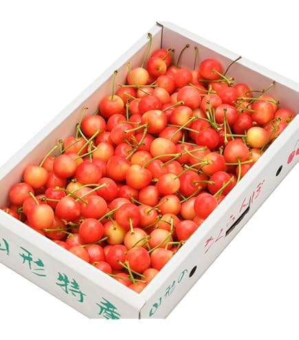 Amazon.co.jp: 山形県産 ご家庭用 さくらんぼ 佐藤錦 1kg (Mサイズ