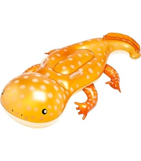 うみうし出品 71PQWrBJ+TL._UF350,350_QL80_.jpg