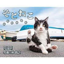 月*猫様 月猫 通常版】そとねこ（月めくり/壁掛け/600mm×380mm） (インプレス