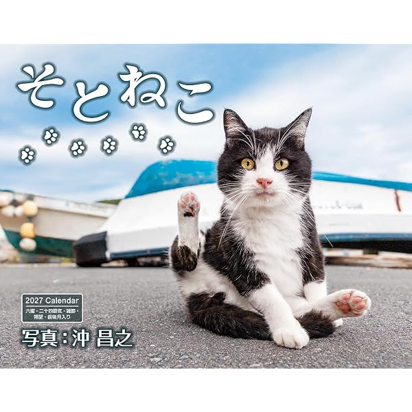 特別版】数量限定 キュートなお顔がいっぱい！沖昌之撮影のそとねこお