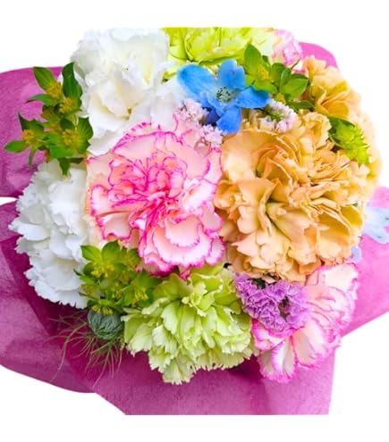 Amazon.co.jp: 韓国BL Blossoms of the White Night 白夜の花道