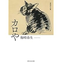 【中古】 猫になりゆく 歌集/角川文化振興財団/平山澄惠 中古】 猫になりゆく 歌集/角川文化振興財団/平山澄惠