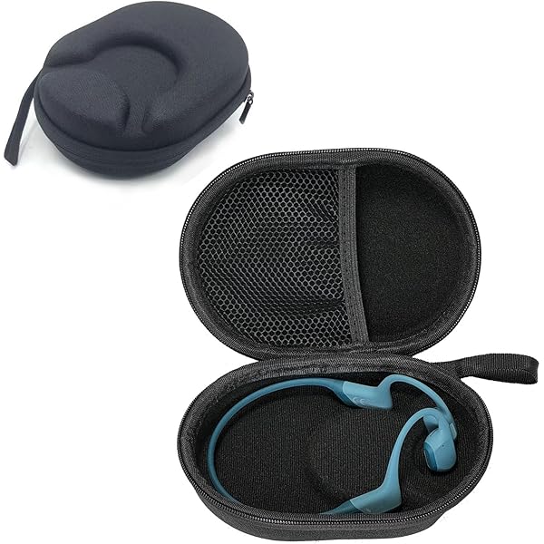 Amazon.co.jp: AWINNER Shokzケース対応 ハードトラベルバッグ