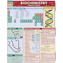 Student Companion to Accompany Fundamentals of Biochemistry (Delisted) [ペーパーバック] Uzman， Akif Johnson， Jerry Widger， William Eichberg， Joseph Voet， Donald Voet， Judith G.; Pratt， Charlotte W. Fundamentals of Biochemistry, Student Companion: Life at the