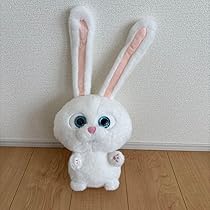 71IHWEuILWL._AC_UL210_SR210,