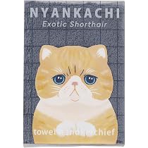Amazon｜りぶはあと ハンカチタオル にゃんかち エキゾチックショート