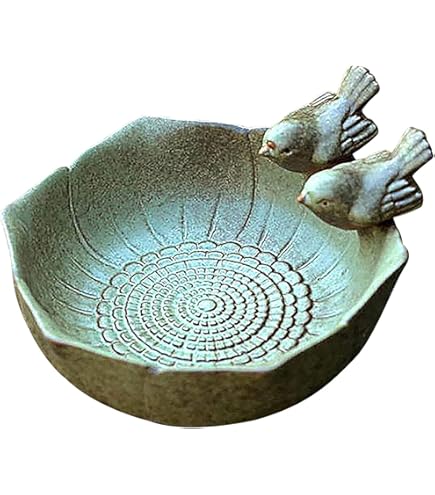 Amazon.co.jp: バードバス 外付け 鳥 水浴び容器 バスタブ 小鳥用