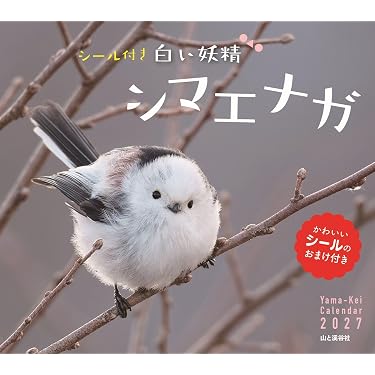 Amazon.co.jp 最新リリース: インテリアデザイン の新着ランキングです。