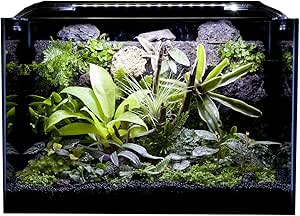Amazon Paludart パルダート 観賞用パルダリウム P 45 水槽 45cm 観葉植物 オンライン通販