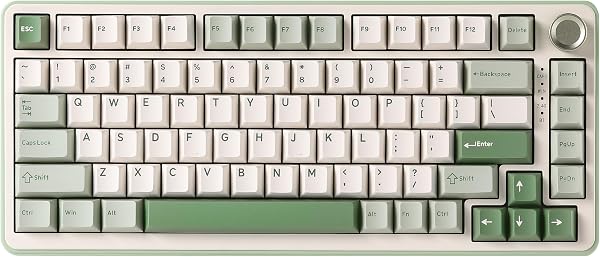 YUNZII B75 PRO Wireless Mechanical Keyboard,75% Gaming Keyboard Gasket Hot Swap Custom Keyboard with Knob,Pre-lubed Switches RGB,Bluetooth/Type-C/2.4G (Matcha Green, Cocoa Cream V2 Switch) - 1
