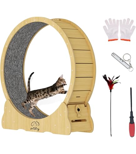 Amazon.co.jp: キャットホイール 猫 ランニング マシン 猫回し車 